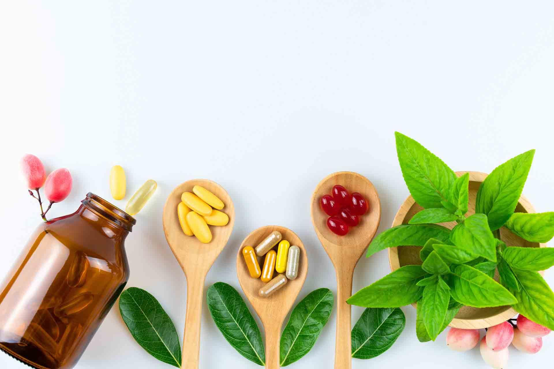 Pharmaceuticals and Nutraceuticals Derived from Plant Extracts